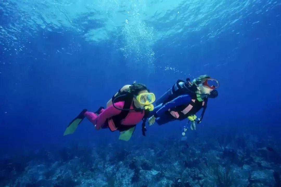 房屋贷款利率降低、放款加速，需要买房的人是不是要尽快出手？