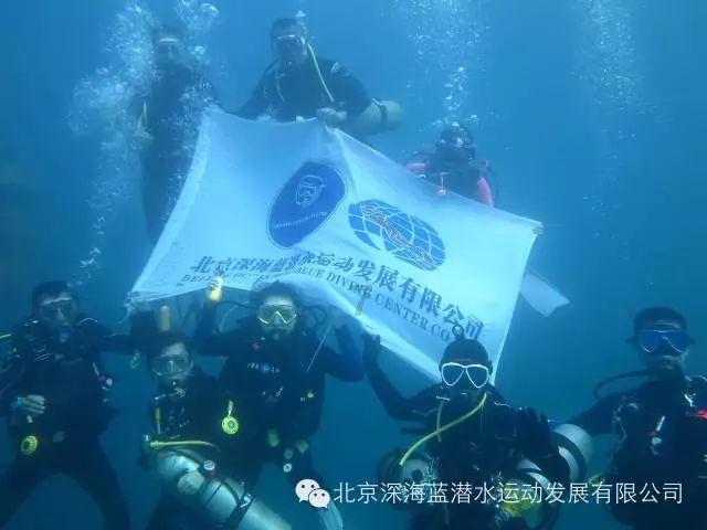 两会聚焦｜做好盐碱地特色农业大文章，刘贞贞委员建议：以科技创新提升盐碱地综合利用水平