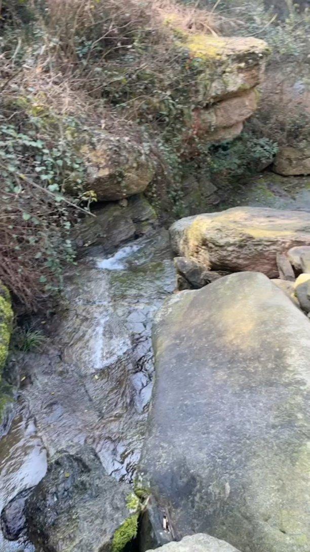 逗小猴开心系列168