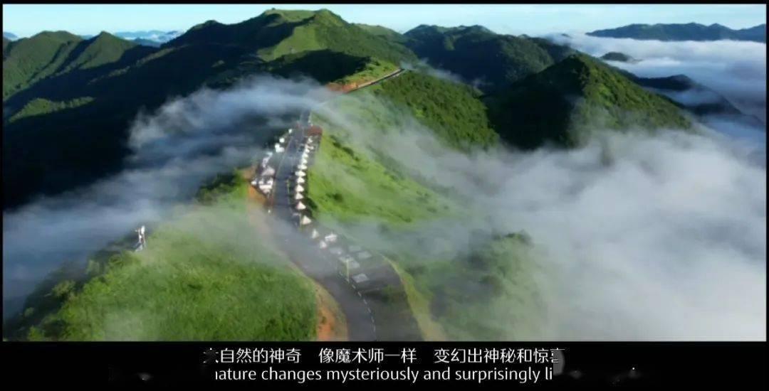 可爱啄木鸟逃脱